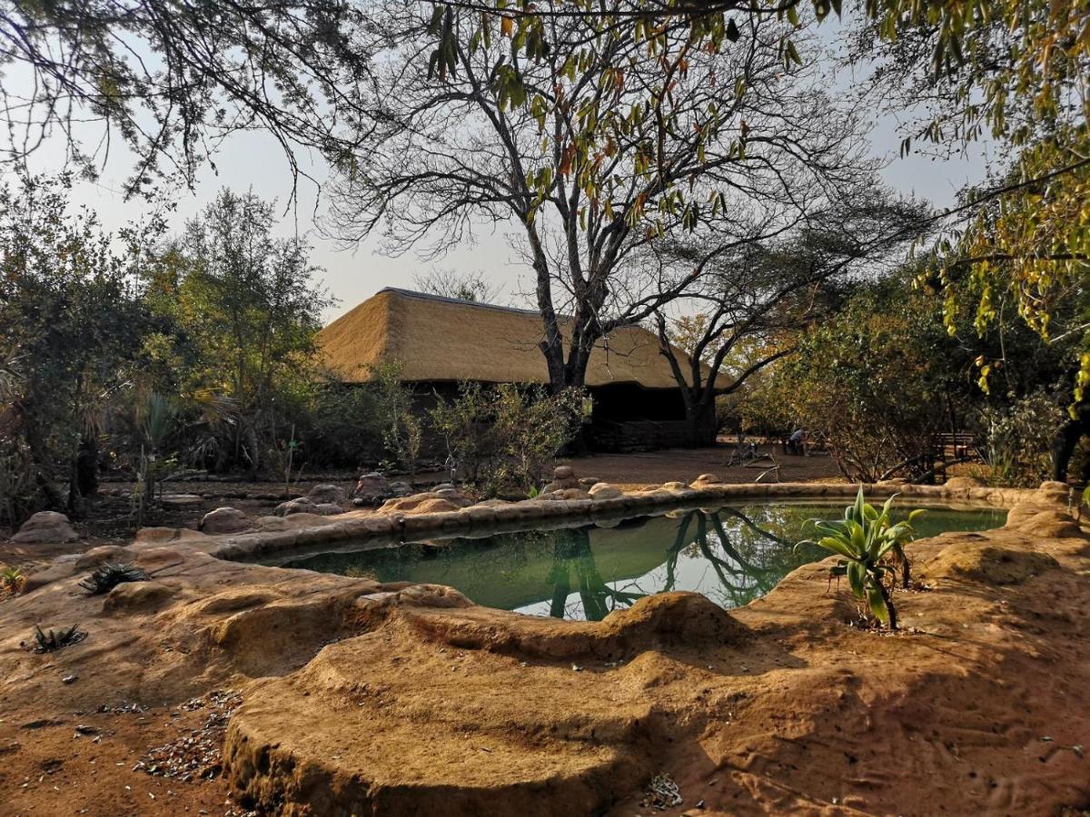Nthakeni Bush & River Camp Pafuri Gate エクステリア 写真