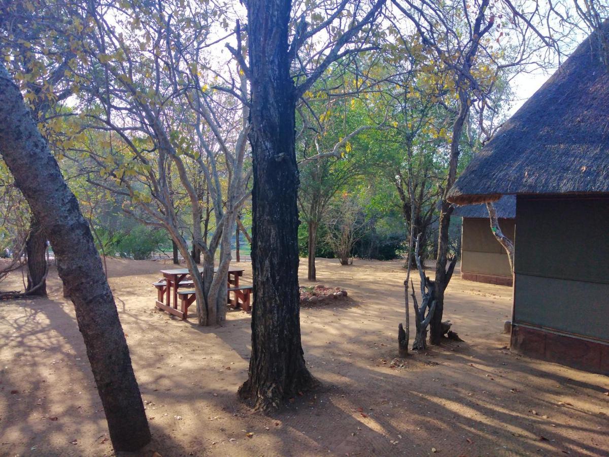Nthakeni Bush & River Camp Pafuri Gate エクステリア 写真