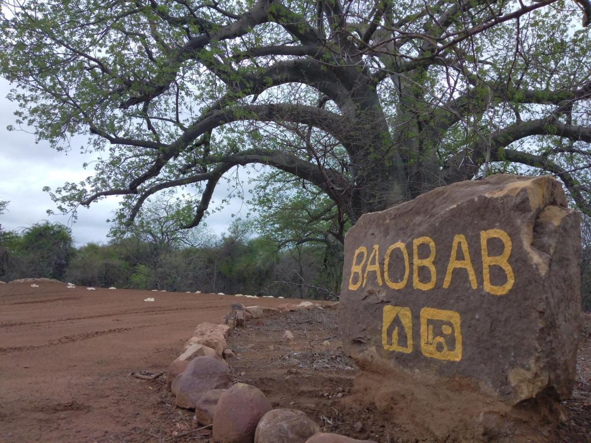 Nthakeni Bush & River Camp Pafuri Gate エクステリア 写真